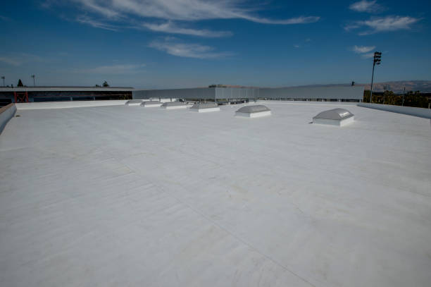 Best Roof Moss and Algae Removal  in Cochranton, PA